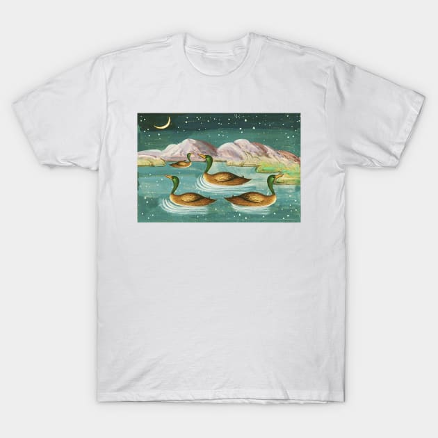 Ducks in the lake T-Shirt by Marccelus